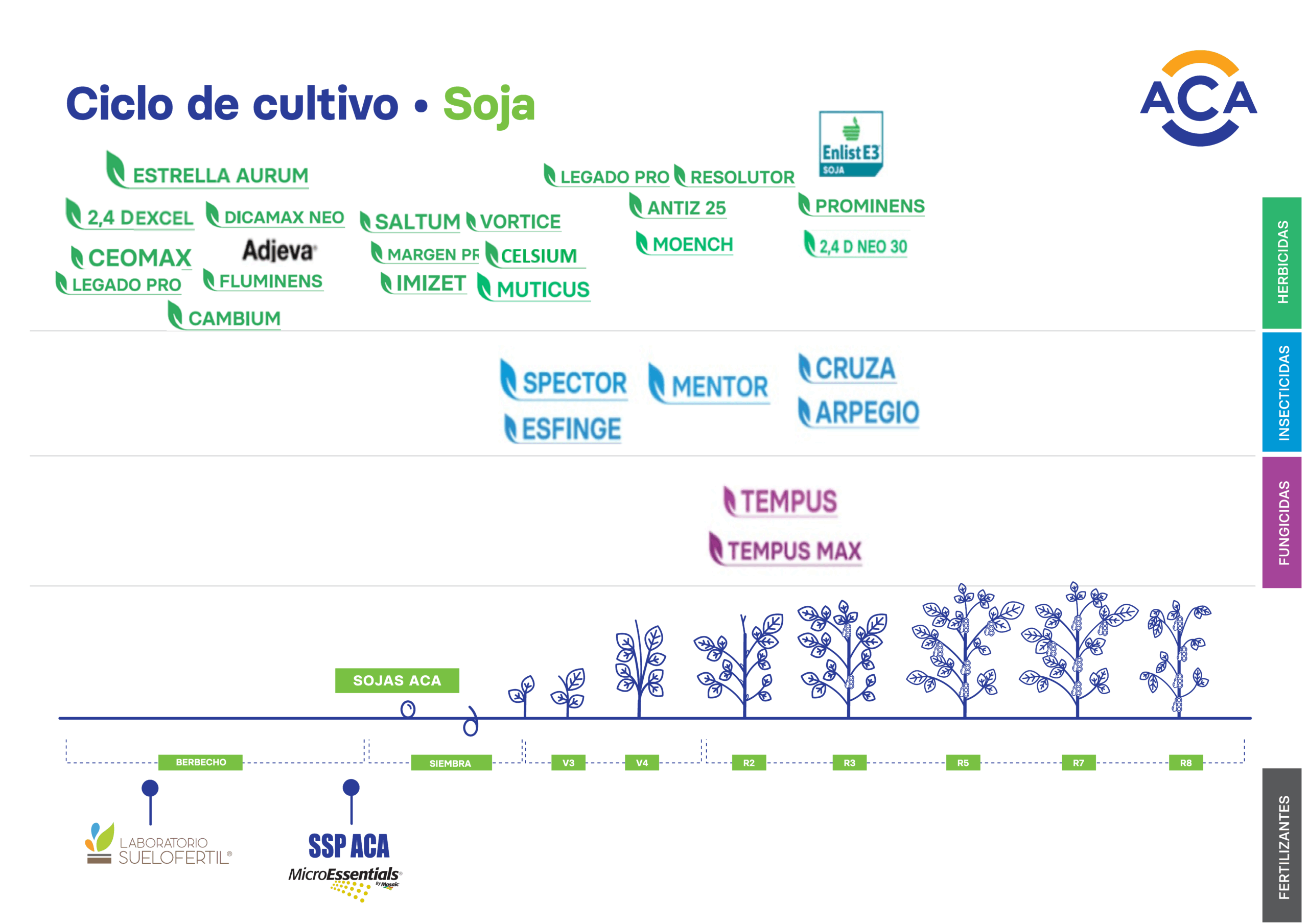 Ciclo del cultivo - Soja